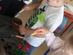 50104641711671291552150313208771682600717710n